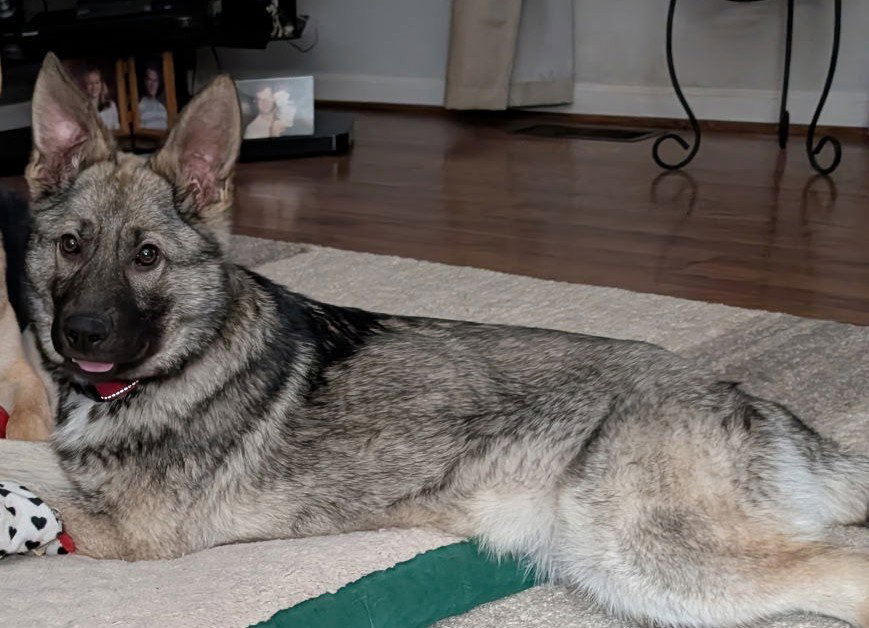 Mia