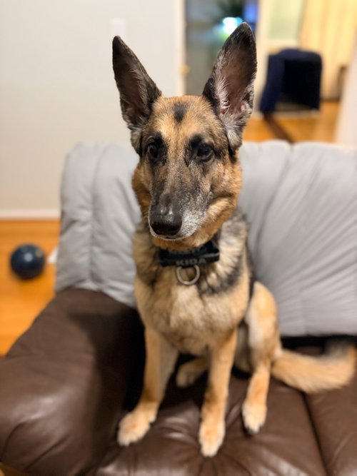 Kida