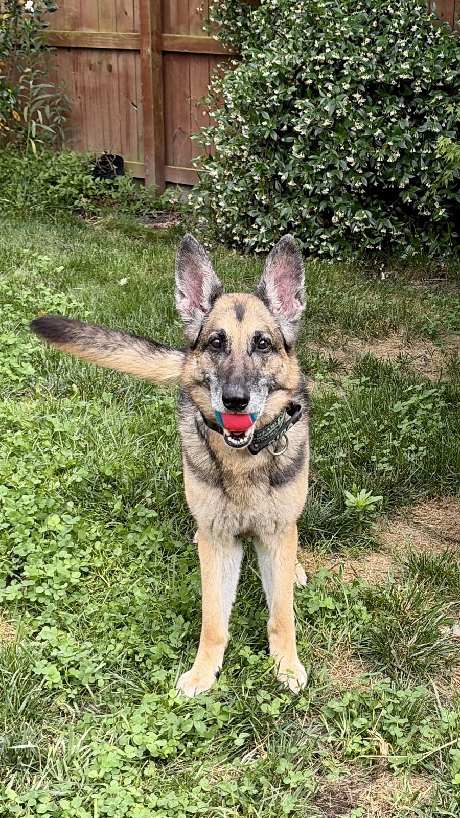Kida