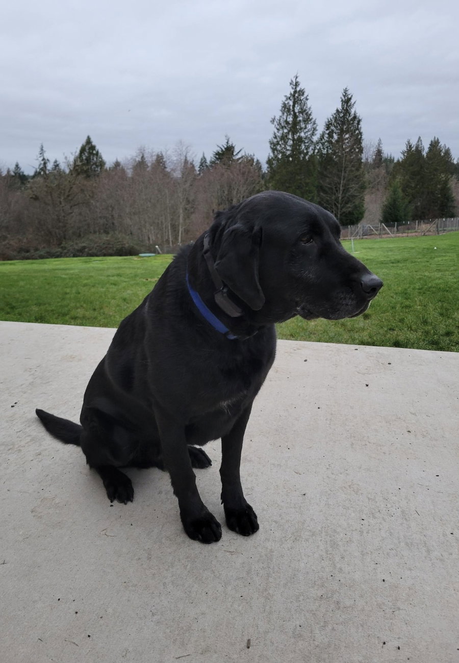 Beau