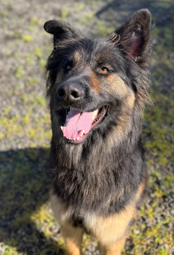 Zuri