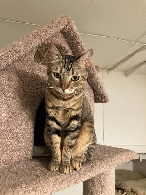 Cleo/Mabel