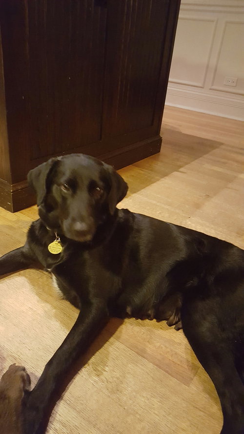 Marnie