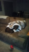 Charlie
