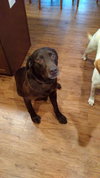 Charlie