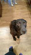 Charlie