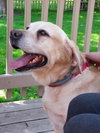 Coby