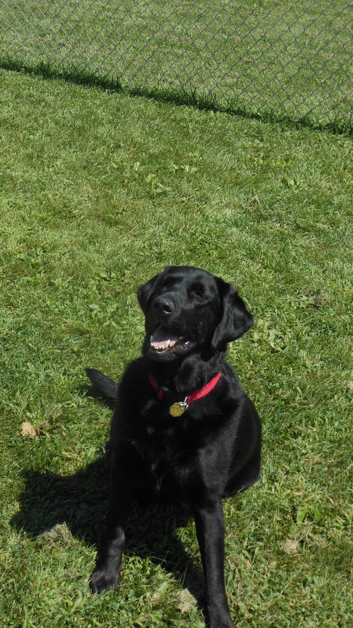 Ruby