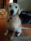 Roxy
