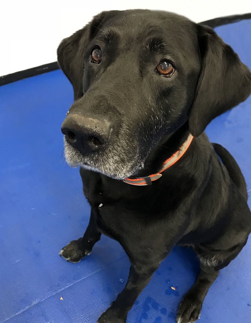 Max