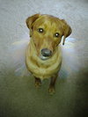 Meela