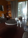 Marli