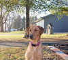 Ellie