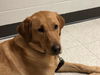 Ellie