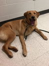Ellie
