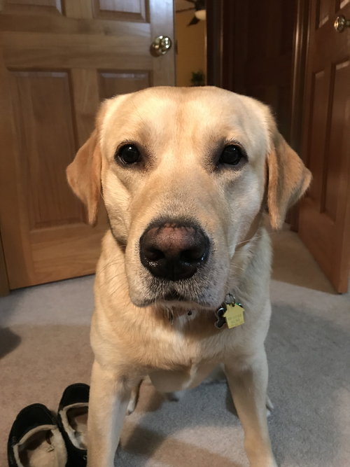 Charlie