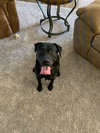 Charlie