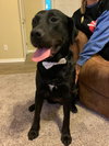 Charlie