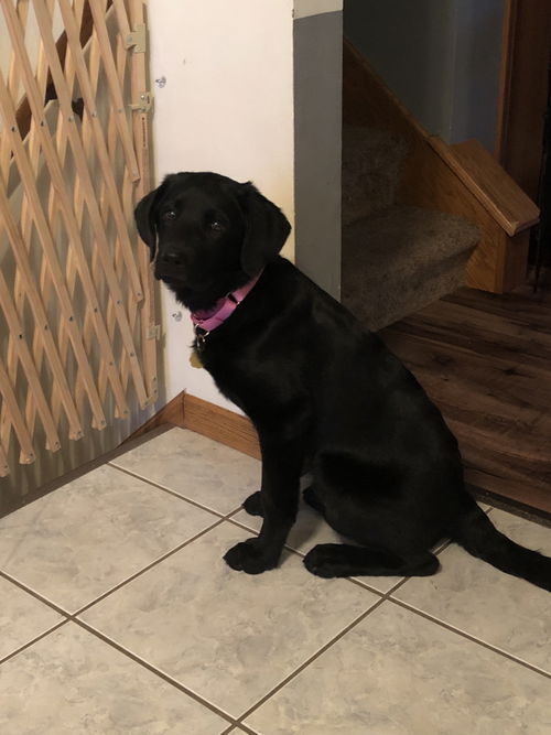 Daisy Mae