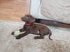 Chloe