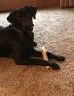 Zoey