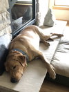 Charley