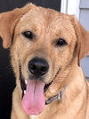 Charley