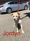 Jordyn