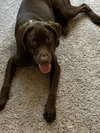 Cora