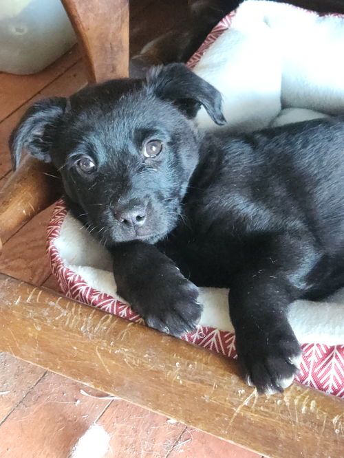 Winnie