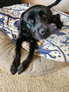 Sadie