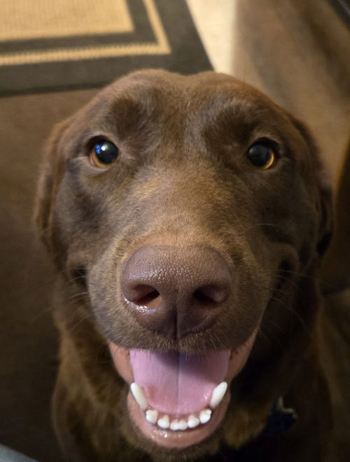 Coco