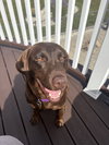 Maddie