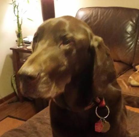 Max