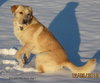 Comet