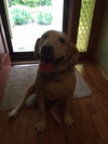 Jessie