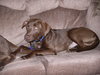 Rosie