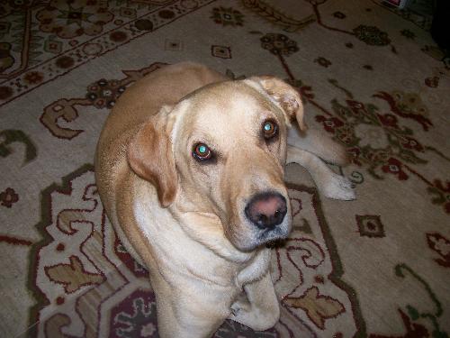Charlie