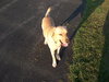 Charlie