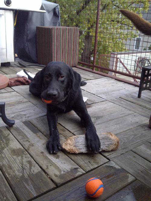 Roscoe