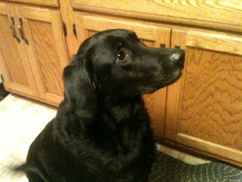 Roxie