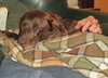 Mazie