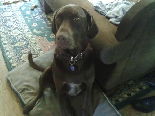 Max