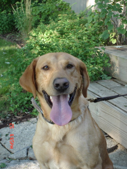 Gus