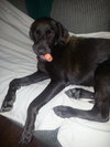 Charlie #1