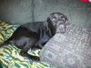 Charlie #1