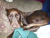 Charlie #1