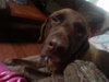 Charlie #1
