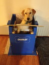 Charley