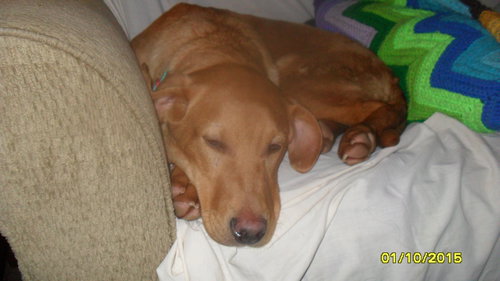 Rusty